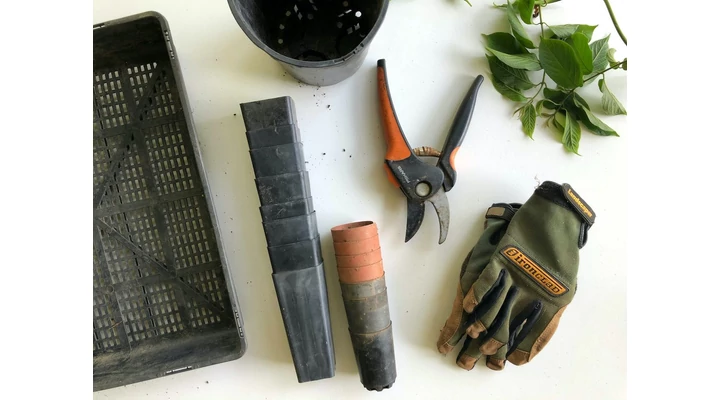 DIY beltéri kertészkedés: mini kertek és ültetvények az ablakpárkányon és az erkélyen